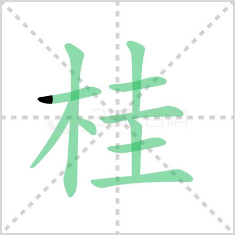 桂的造詞|桂字的意思